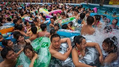 Des modes d'infection et les raisons du développement du champignon sur les jambes